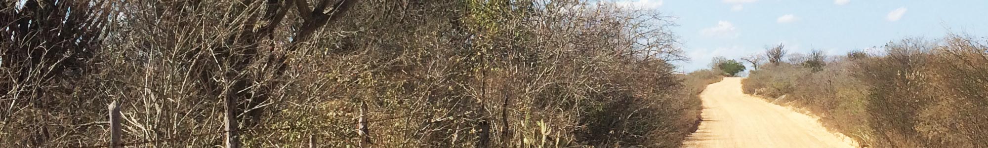 Roadtrip en Paraíba